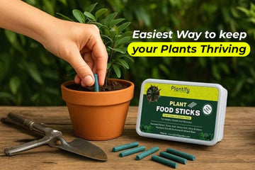 Plantify Plant Food Sticks: The Easiest Organic Nutrition for Healthy Plant Growth