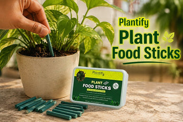Best Organic Plant Fertilizer Sticks Guide: Easy Indoor Plant Food for Healthy Growth