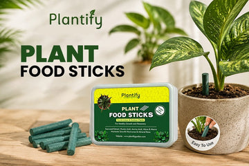plant food sticks