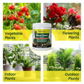 Organic Plant Fertilizer | Garden Plant Food Granules