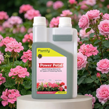 Plantify Power Petal- Organic Liquid Potting Mixture for Flowering Plants