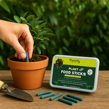 Plantify Plant Food Sticks - Organic Indoor Plant Nutrition